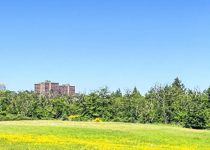 Loreley - A705 By Interhome Apartamento *